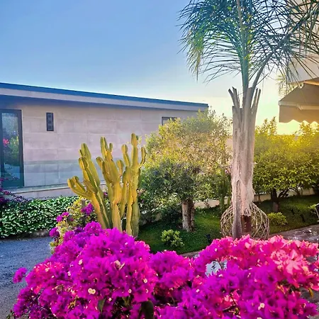 60 Olea Villa