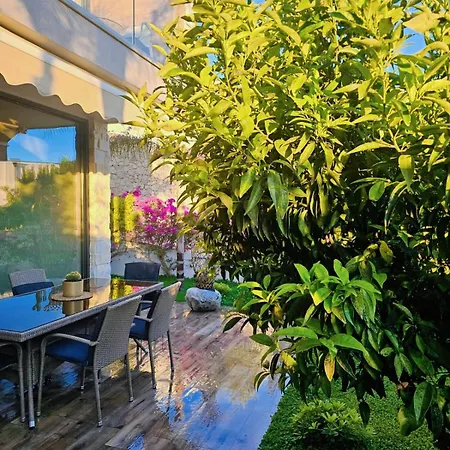 Villa 60 Olea *