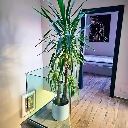 60 Olea *